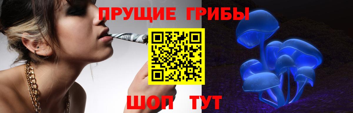 Псилоцибиновые грибы MAGIC MUSHROOMS  Вход с VPN  цена   Малгобек 